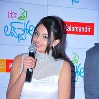 Nikitha Narayan - Its My Love Story Premier Show Pictures | Picture 121092